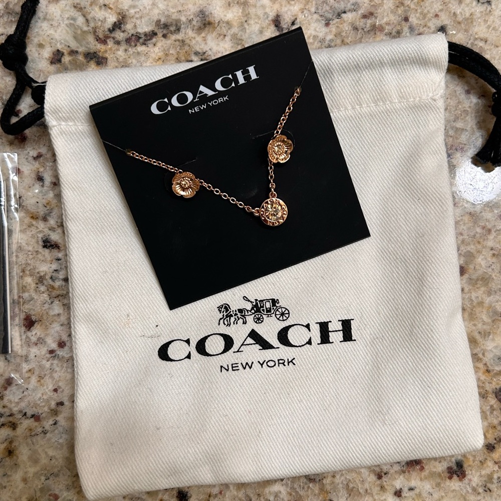 COACH necklace and earrings